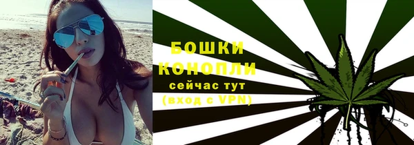 прущие грибы Богородск
