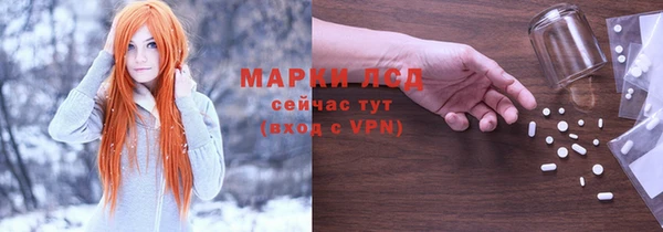 прущие грибы Богородск