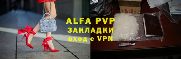 прущие грибы Богородск