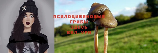 mdma Бородино