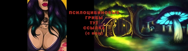 mdma Бородино