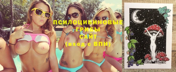 мдпв Богородицк