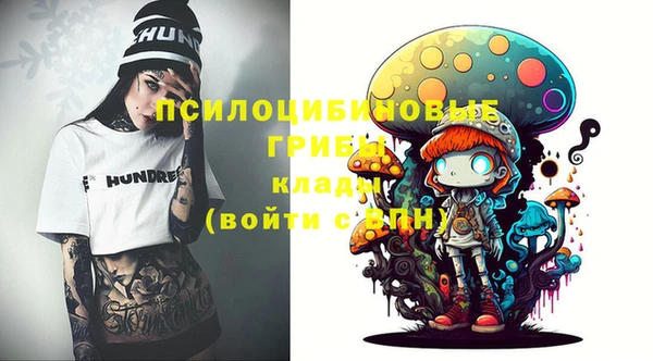 мдпв Богородицк