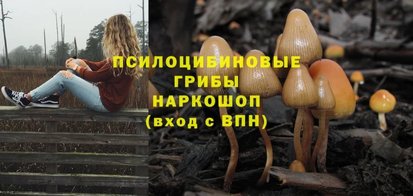 дурь Бугульма