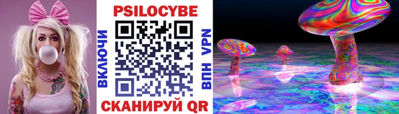 Купить  Невель  Галлюциногенные грибы GOLDEN TEACHER 